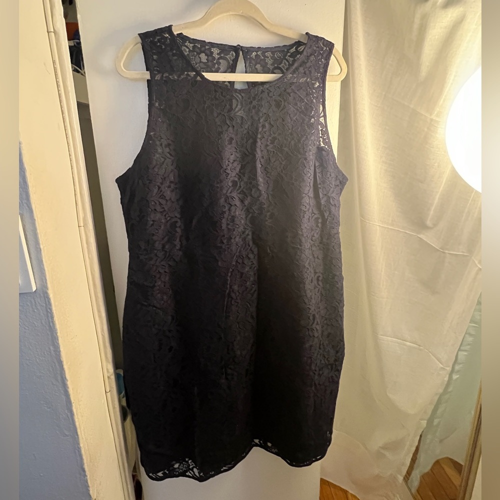 nwt jcrew lace shift dress c3896